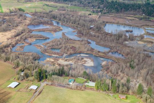 Aerial view of the Ridgefield Pits in the foreground on the East Fork Lewis River before restoration. The Daybreak Pits can also be seen and are located adjacent to the Ridgefield Pits. The project will focus on restoring the nine Ridgefield Pits. Credit: Lower Columbia Estuary Partnership