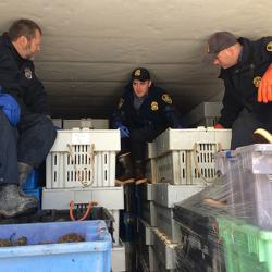 Office of Law Enforcement Container Inspection Op