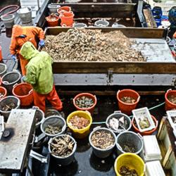 Scientists working on deck of research vessel