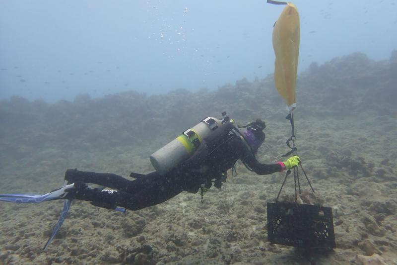 A diver uses a lift bag to transport loose rubble. 