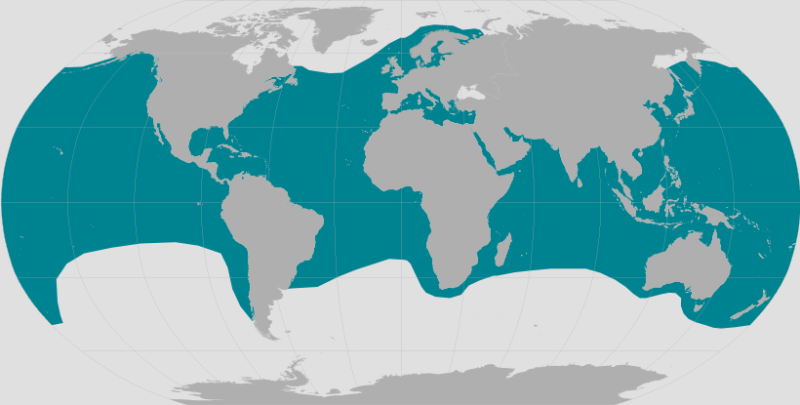 Leatherback Turtle Range.png